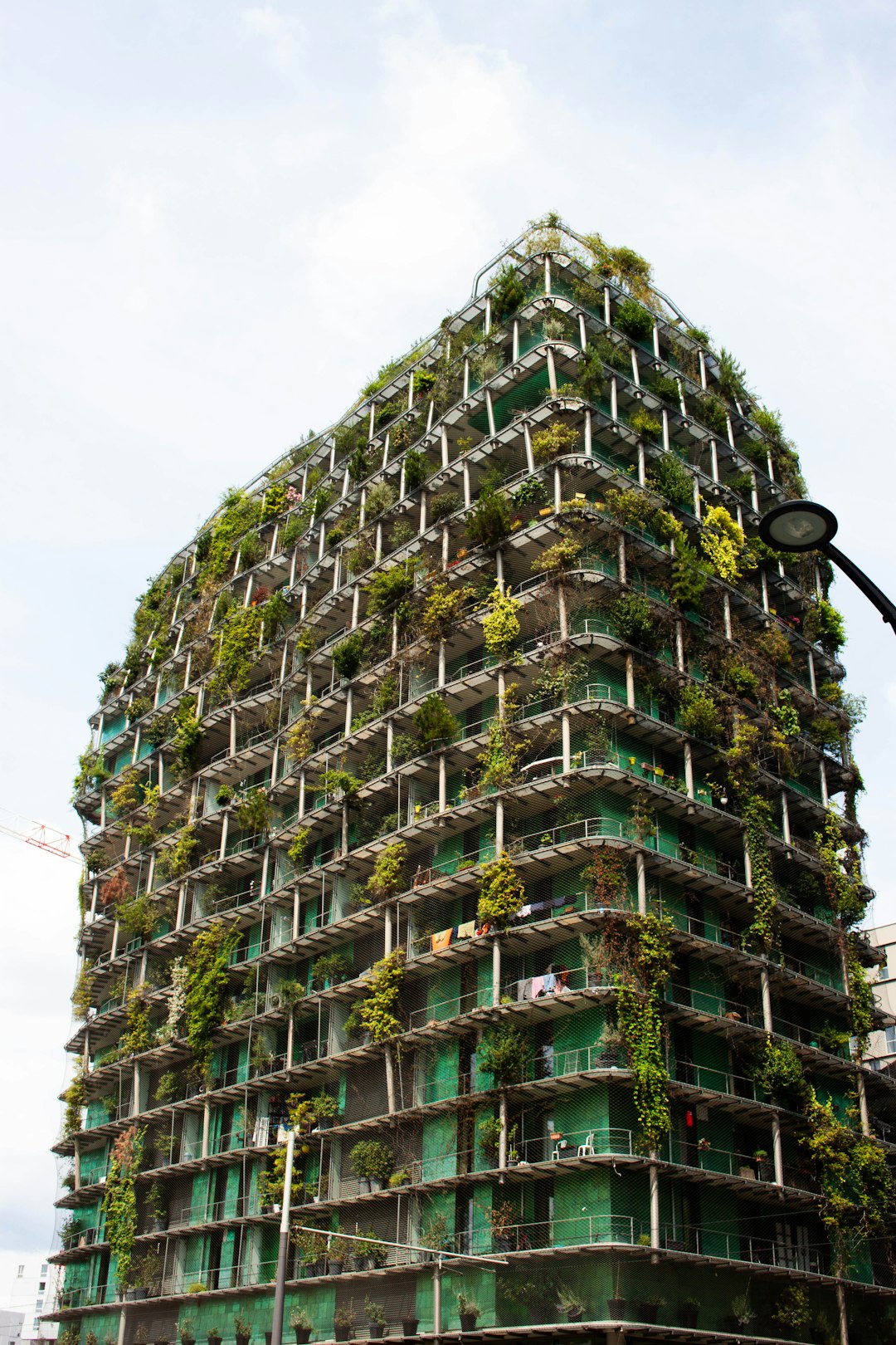 Eco-Friendly Complex