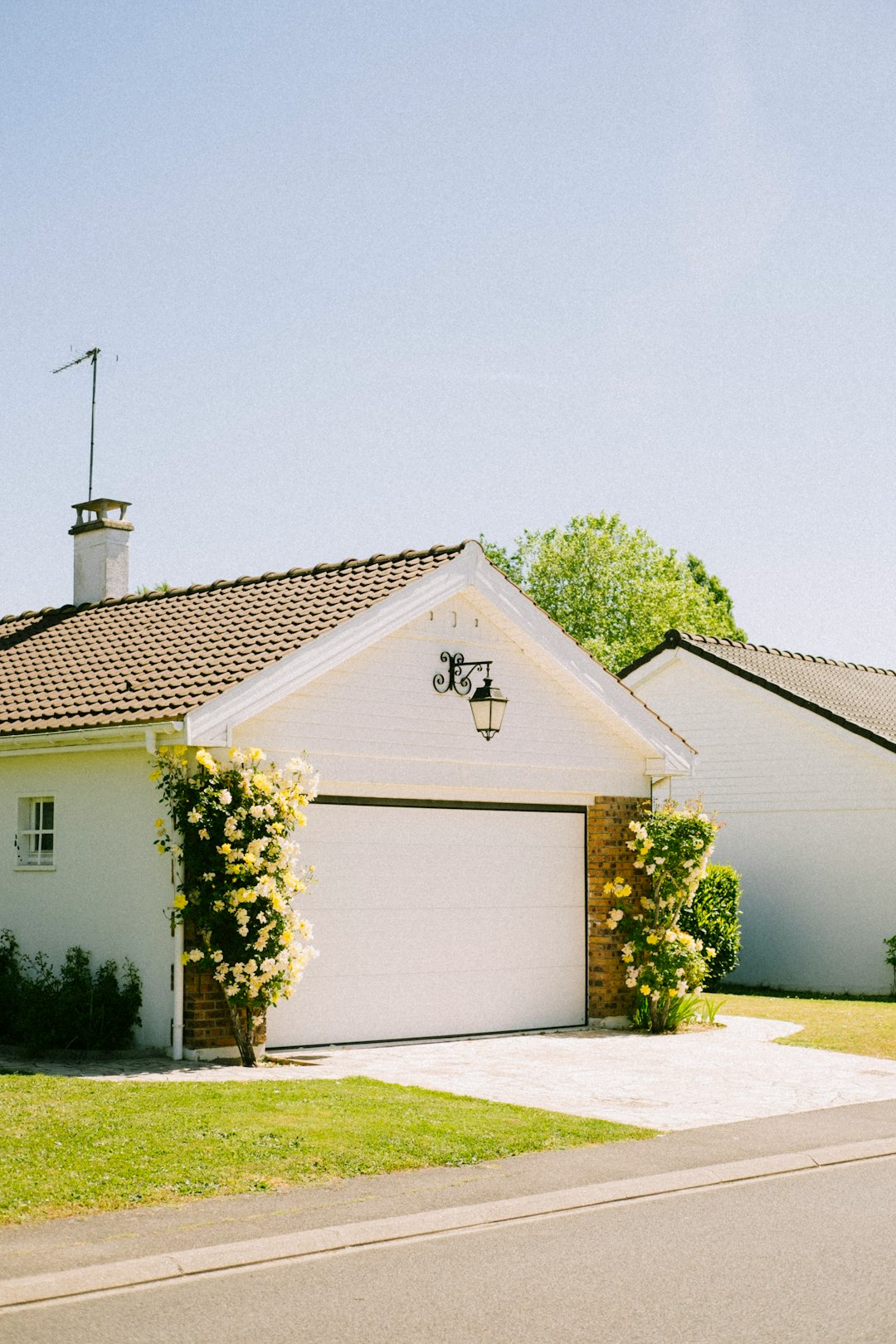 Maple Grove House